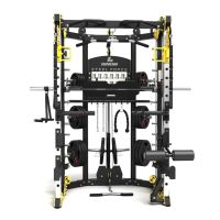 Binom Steel Force B10 NUEVO MODELO Multigimnasio, Doble Polea, Power Rack, Multipower, Prensa de Piernas y accesorios