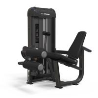 Binom Powerful P10 Dupla Selectorized 123 Kg Extensão / Leg Curl
